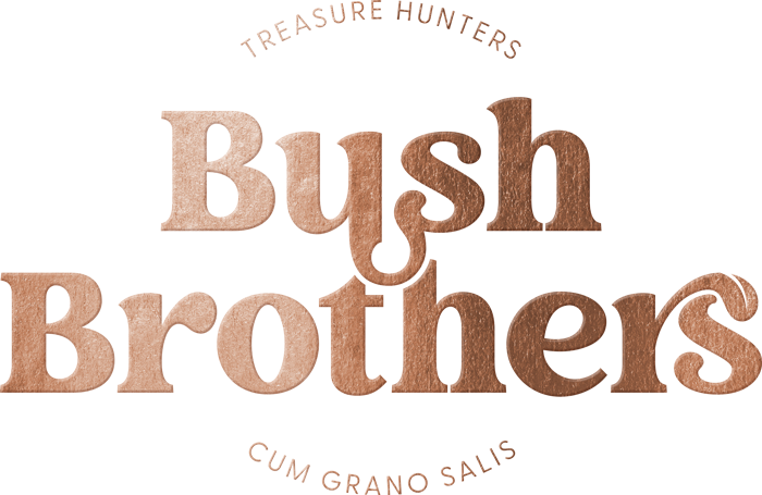 Bush Brothers